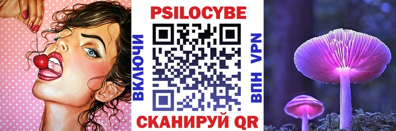купить наркоту  Борзя  Псилоцибиновые грибы Magic Shrooms 