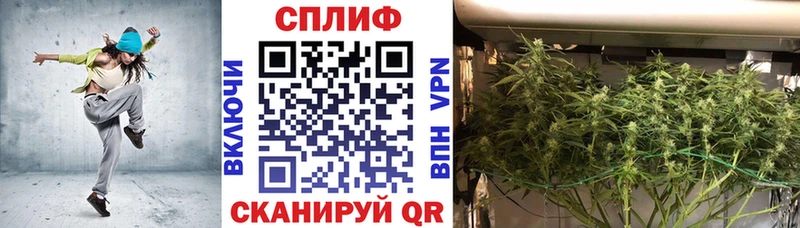 цена наркотик  Борзя  Конопля гибрид 